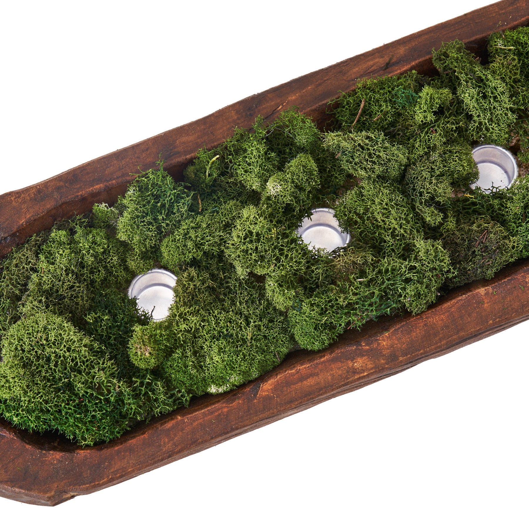 Oak Wood Slice Round with moss
