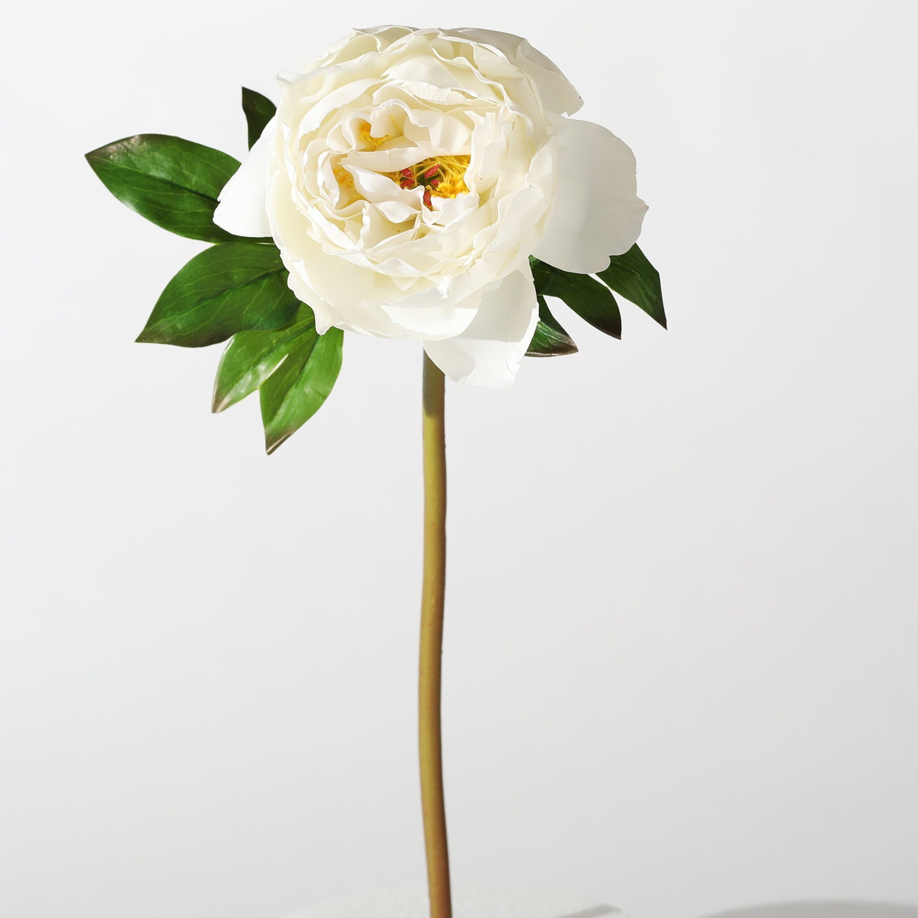 Peonies anyone? Yes… these - White Birch Design Company