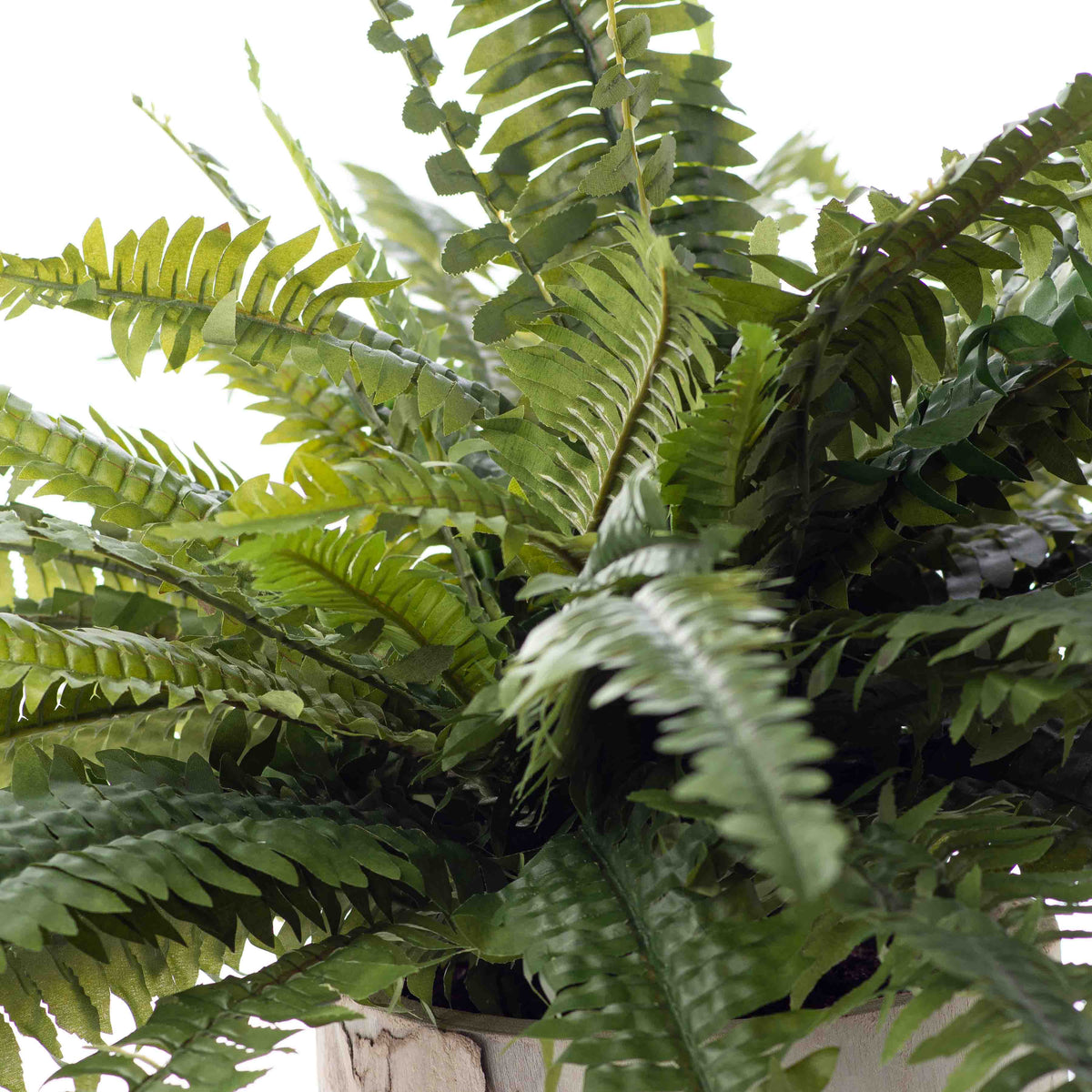 Lifelike Boston Fern In Elmwood Planter Faux Artificial Houseplant ...