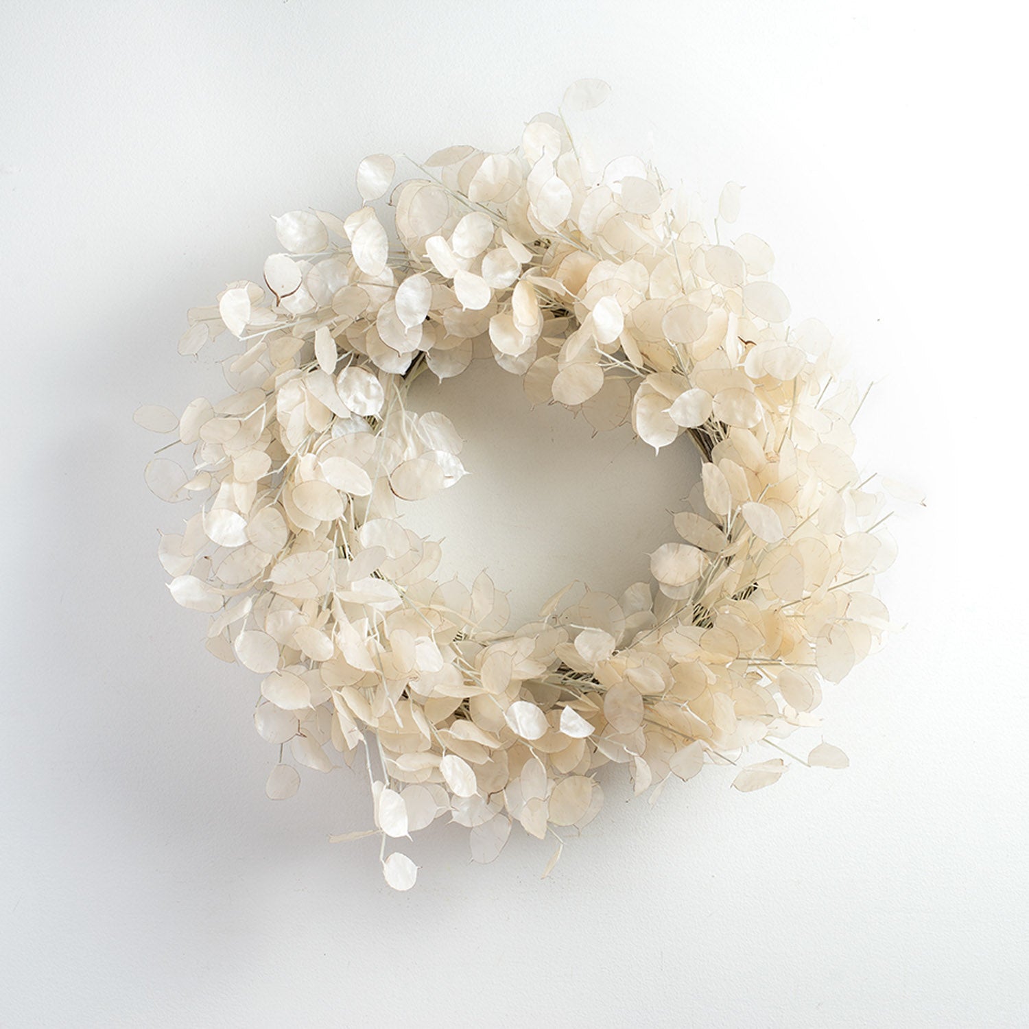 White/bleached dried flowers in white pot  Dried flowers, Flower  decorations, Flower wreath