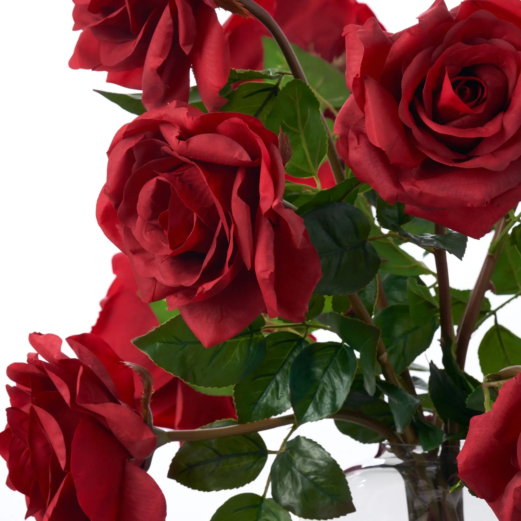 70cm Red Roses A Dozen Extra Long Stems Real Touch Red Rose In Large Smoked Glass Vas ...