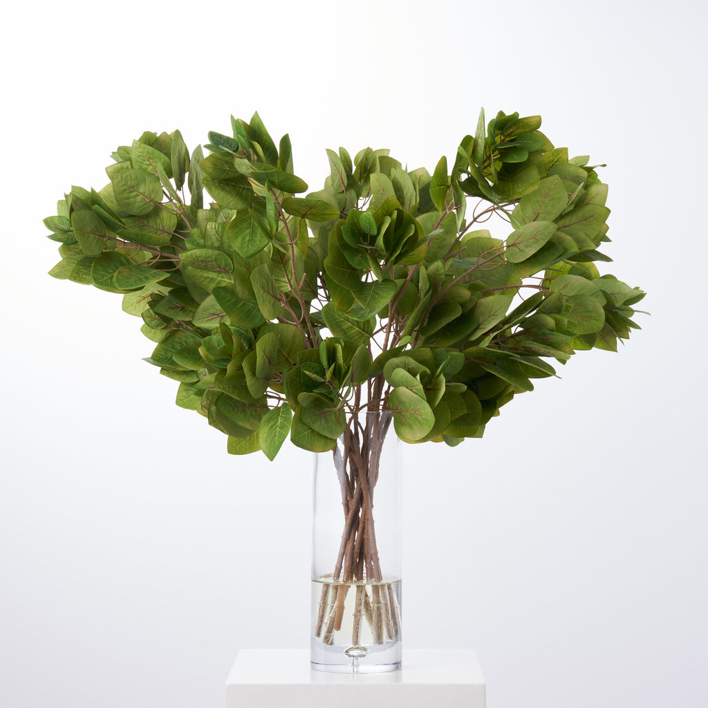 White Magnolia, Mixed Greens & Berry Everyday Winter Floral Arrangement  Centerpiece in Tapered Glass Vase -  Israel