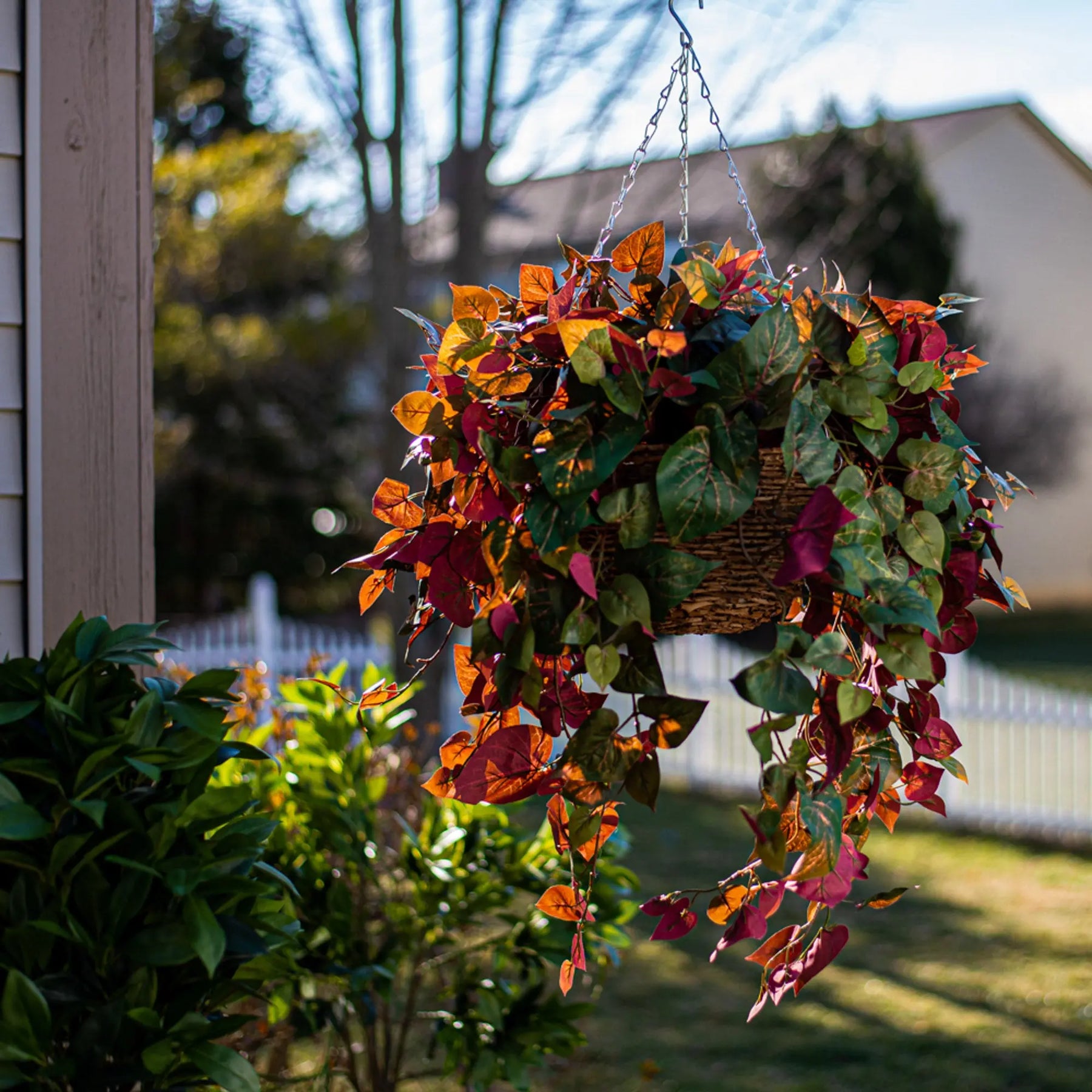 red leaf pothos Red & Green Pothos Vine Artificial Plant in Round Grapevine Hanging – Darby Creek Trading