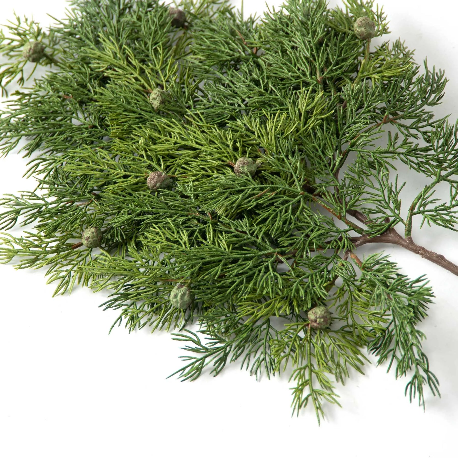 Evergreens & Branches – Darby Creek Trading