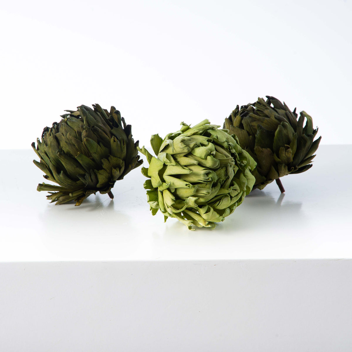 Preserved Natural TwoTone Green Artichoke Décor Balls Set of Three Darby Creek Trading