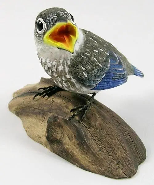 Open Mouth Baby Eastern Bluebird - Hand Carved Wooden Bird - Darby