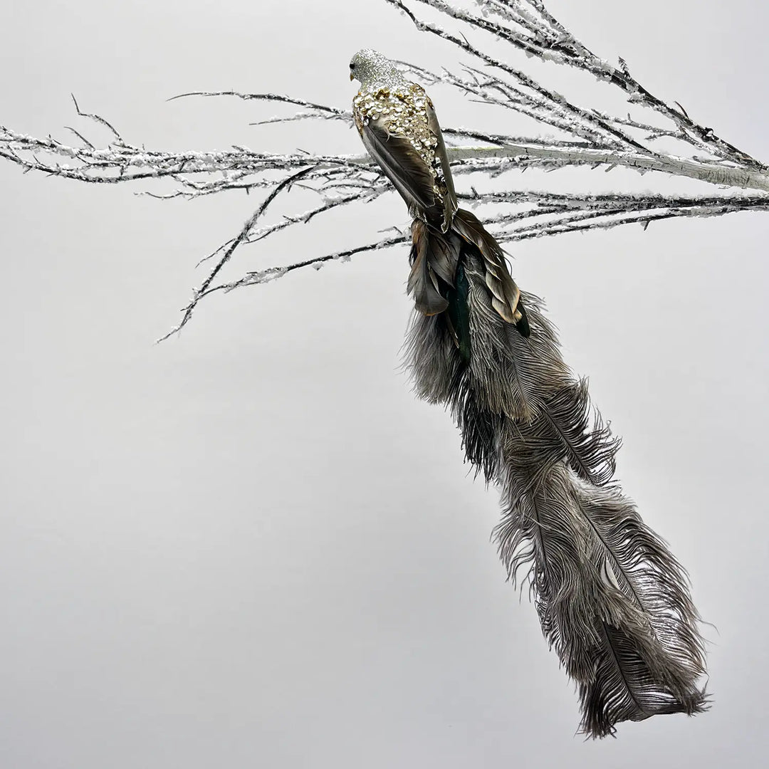 Ostrich Feather Tree
