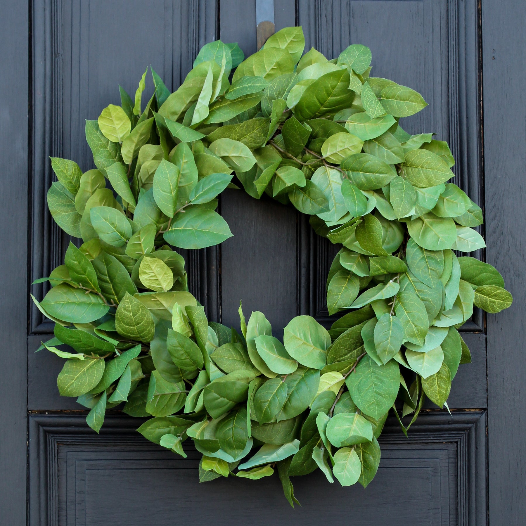 Salal Leaf Everyday Spring Summer Front Door Wreath 24 quot Darby Creek Salal Leaf Everyday Spring Summer Front Door Wreath 24 quot Darby Creek