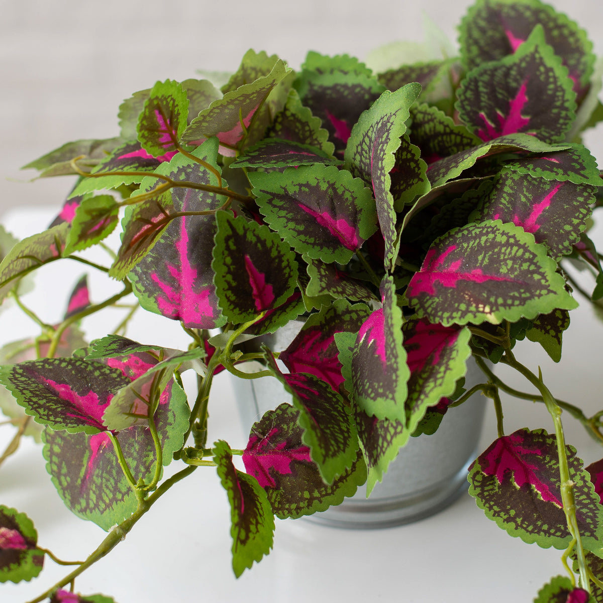 Vining Coleus Faux House Plant in Metal Tin – Darby Creek Trading